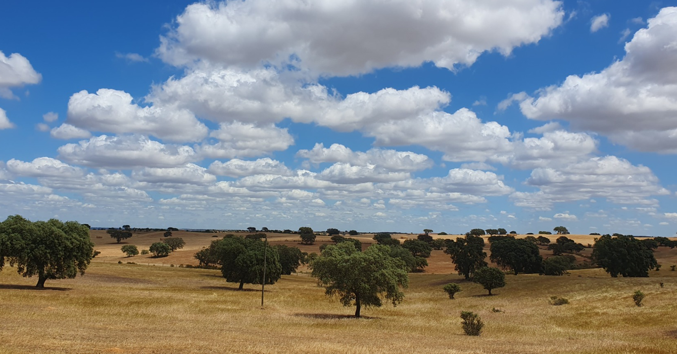 alentejo 2
