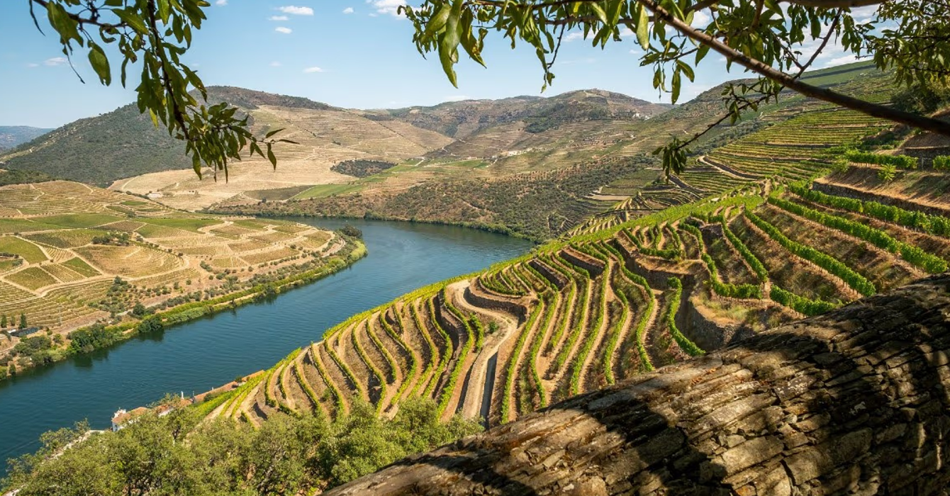 douro 3